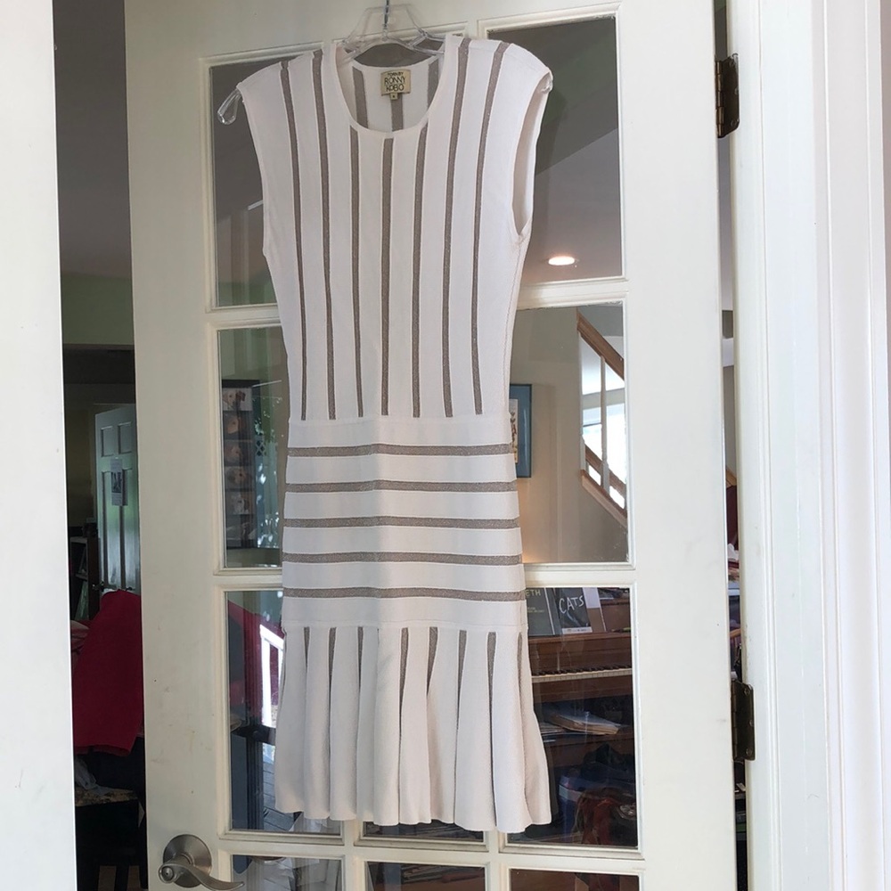 Torn by Ronny Kobo White/Metallic Sheath Dress